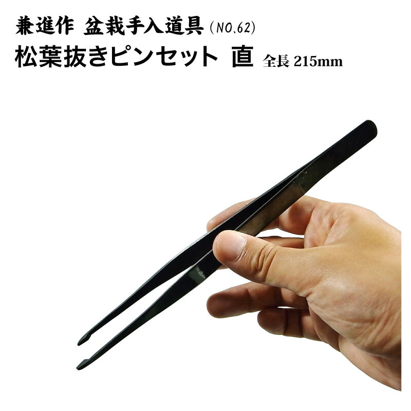 楽天市場】【兼進作】盆栽松葉抜きピンセット 210mm 直／曲 NO.62