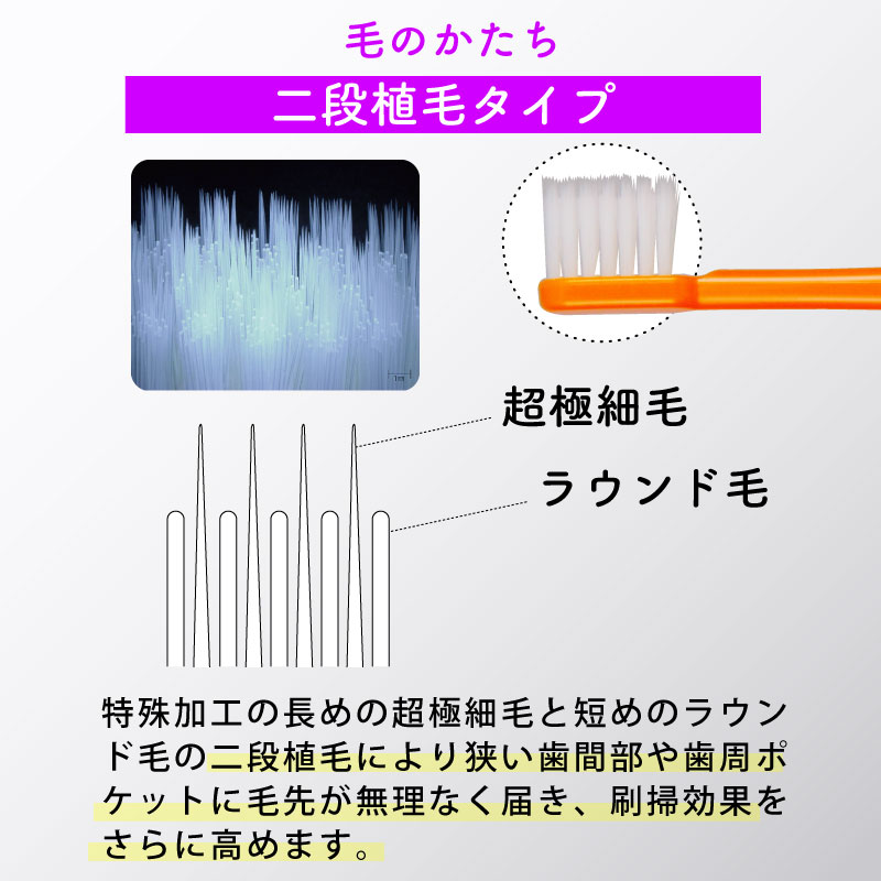 楽天市場】◎【12本】歯科専用歯ブラシ PDR 大人用 アルカ 二段植毛