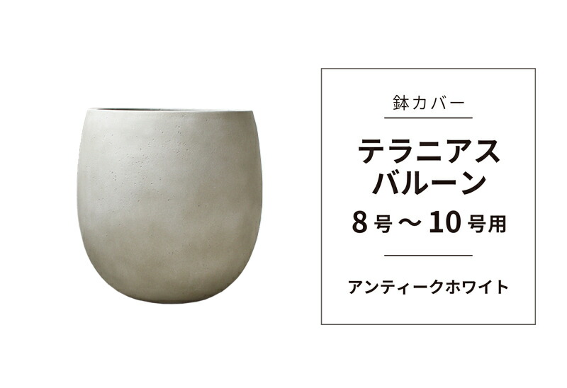 楽天市場】【マラソンクーポン有！】【鉢カバー】テラニアス バルーン