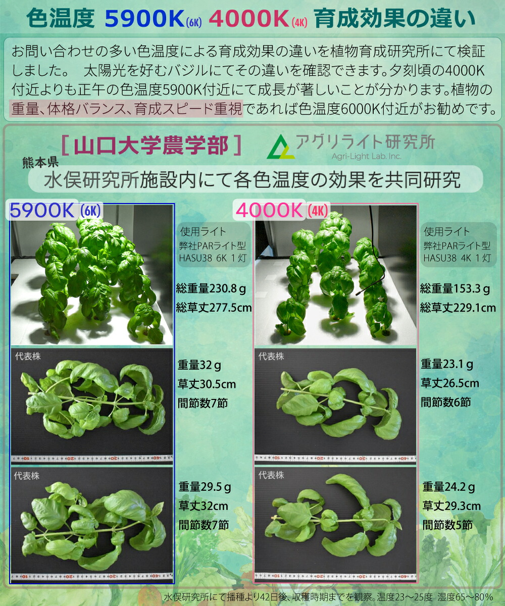 楽天市場】HaruDesign 植物育成ライト HASU38 spec9 6K ブラック