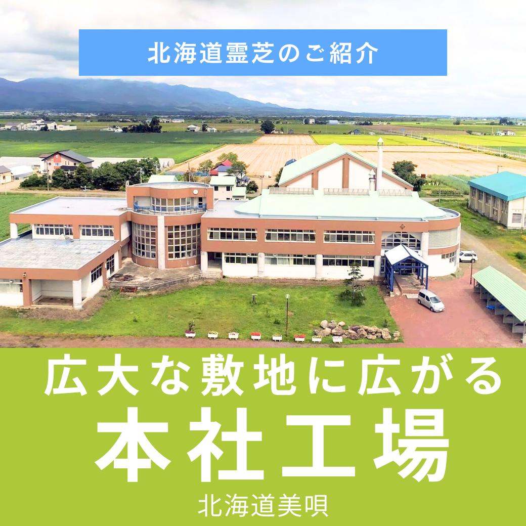 楽天市場】【クーポン配布中】霊芝サプリ 鹿角霊芝カプセル120粒