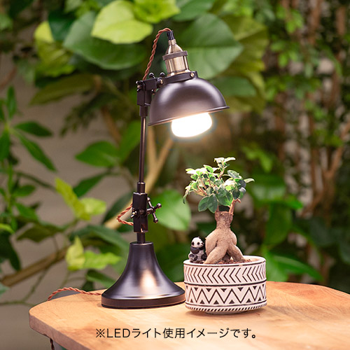 楽天市場】植物育成用LED電球 Well light 3K 昼白色(2球) 日比谷花壇