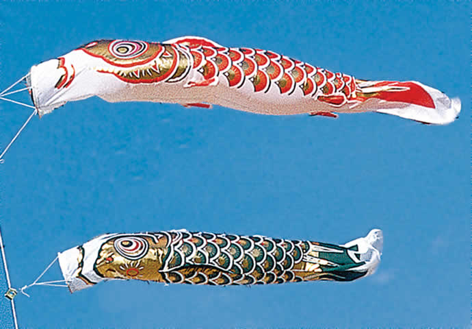 楽天市場】こいのぼり 旭天竜 鯉のぼり 庭園用 10m8点セット 登竜付