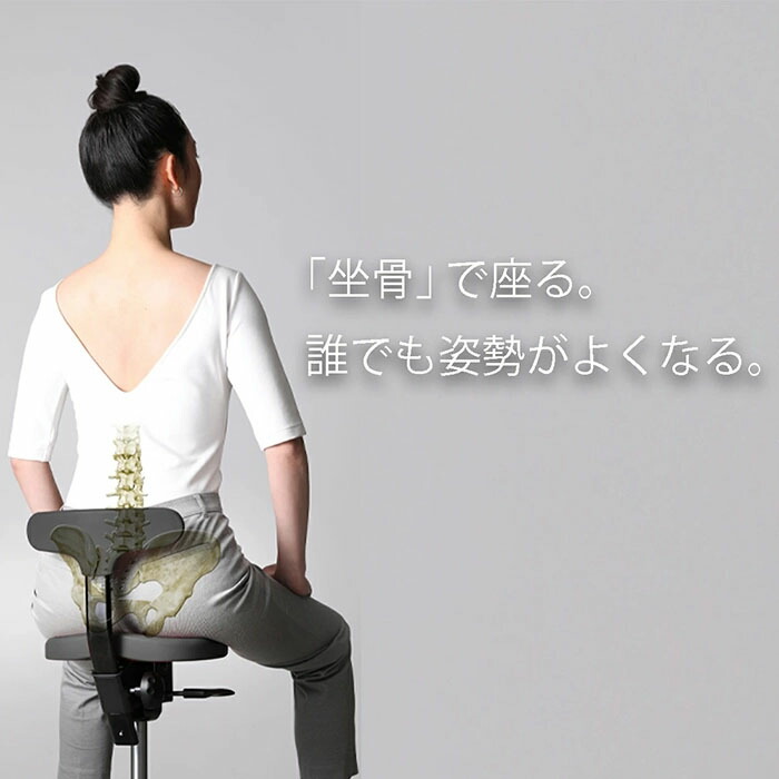 楽天市場】アーユル・チェアー メディカルシート 座椅子＆座面シート