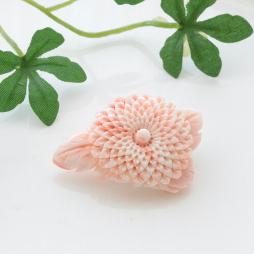 ピンク 珊瑚 ブローチ」の人気商品一覧 | 安い商品を通販サイトから