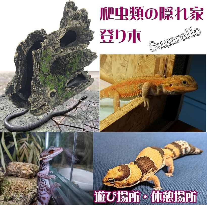 楽天市場】【楽天ランキング1位入賞】爬虫類 隠れ家 登り木 遊び場