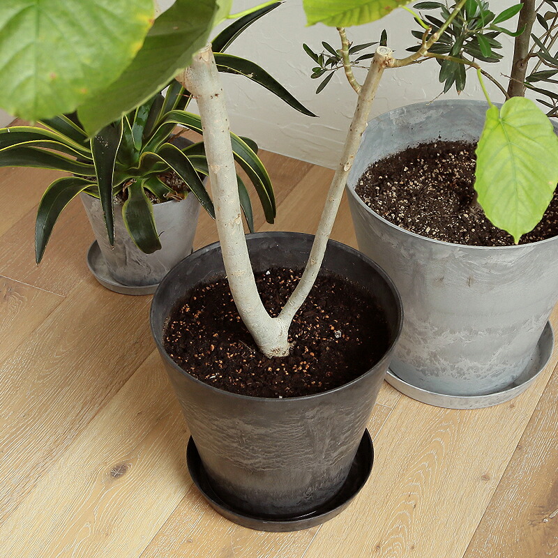 楽天市場】植木鉢 amabro アートストーン ART STONE L 鉢 プランター