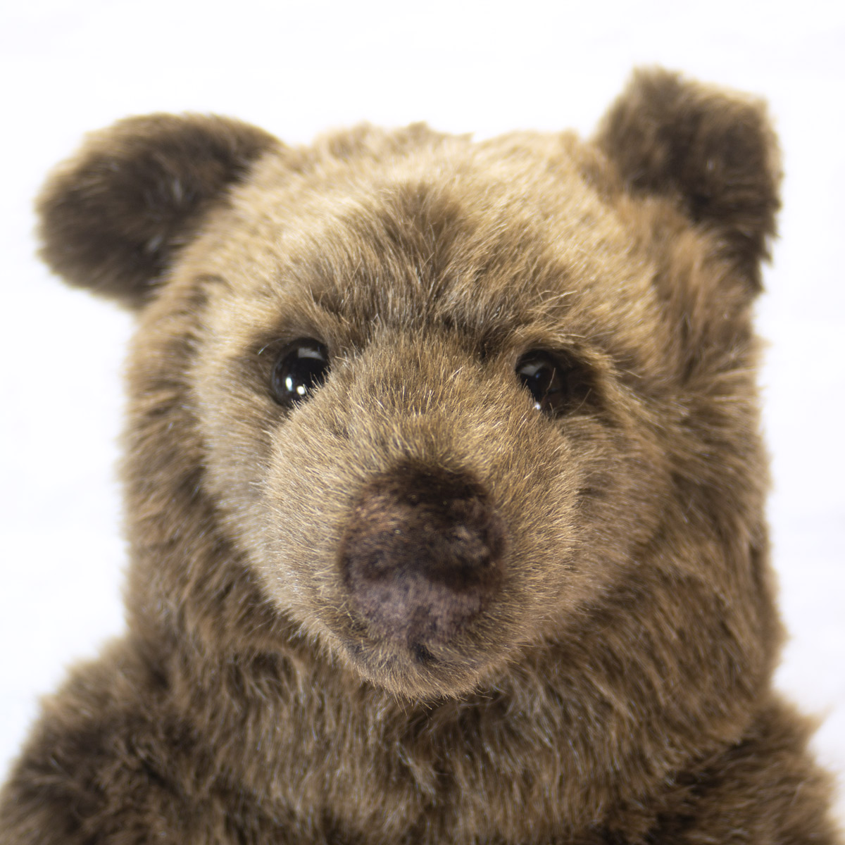 楽天市場】ケーセン ぬいぐるみ Kosen ソフトブラウンベア (大) 51cm