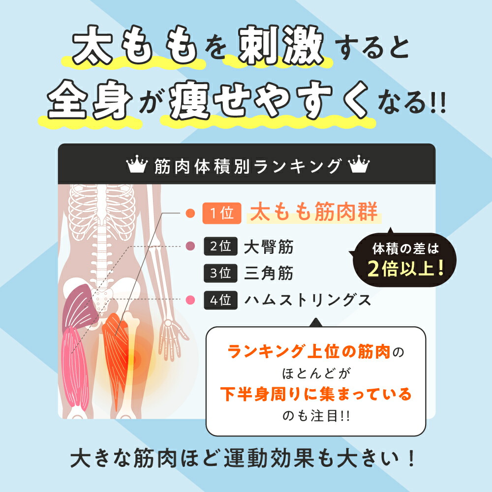 楽天市場】【30％OFF】 シェイクボックス gymterior (ジムテリア) お