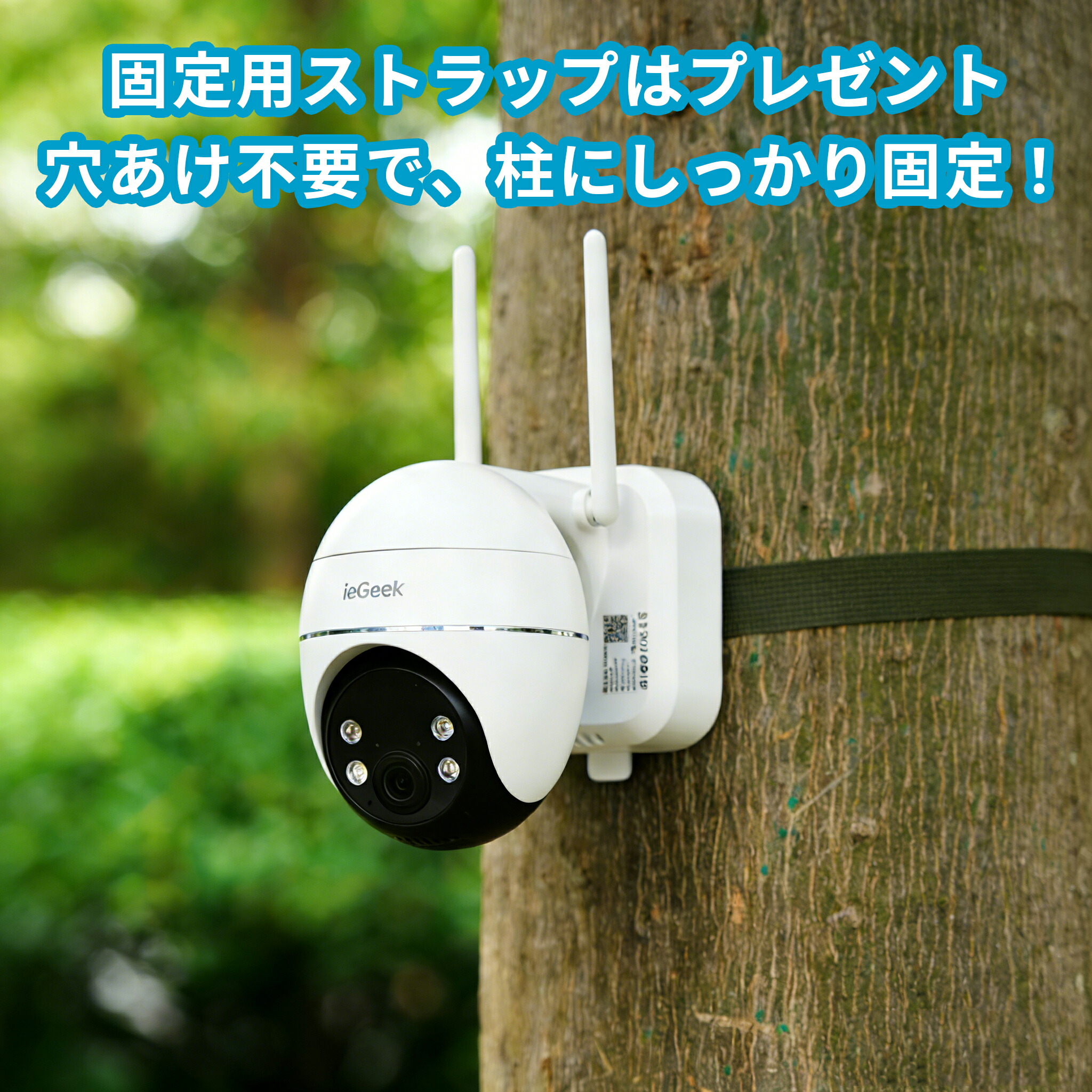 楽天市場】【24時間連続録画 ・最大800万高画素 ・永久にクラウド無料