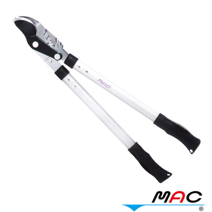 楽天市場】送料無料【限定生産カラー サンルミエ キュート ホワイト