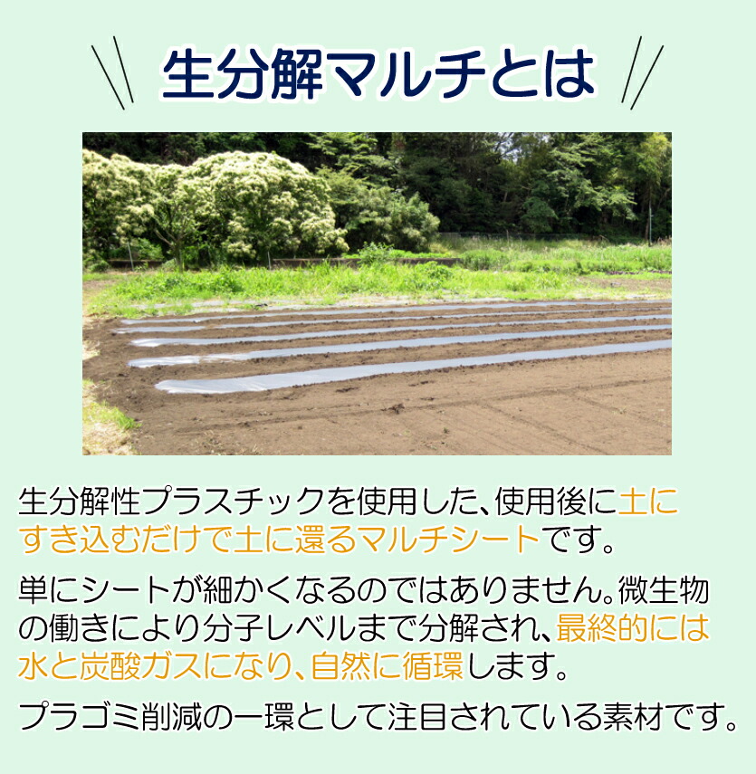 楽天市場】＼着後レビュー特典あり／【生分解マルチ 10m/200m×95cm】黒