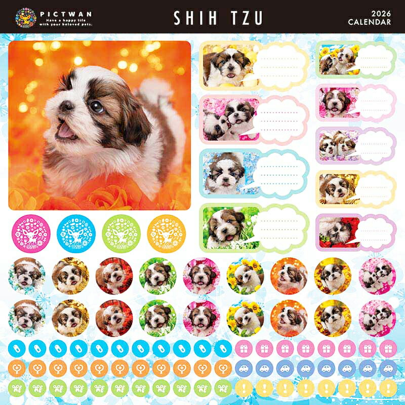 楽天市場】［公式］PICTWANカレンダー 2026年【L判】シー・ズー【送料