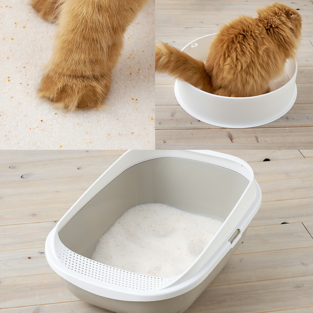 楽天市場】【OFT】 クリスタルシリカサンド pH checker 3.8L(1.5kg) 猫