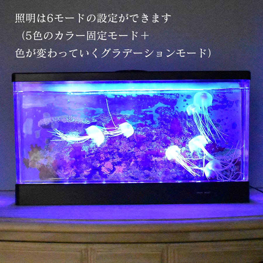 楽天市場】*動画あり*【アクアリウム】クラゲ ワイド【水族館 AQUARIUM