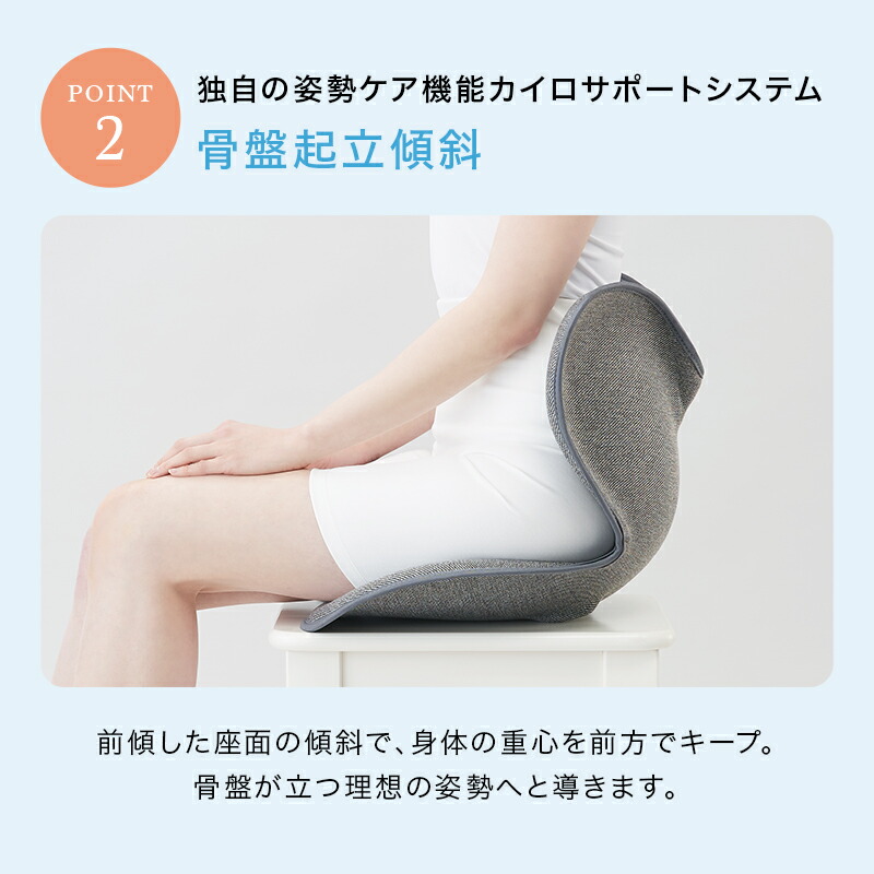 楽天市場】姿勢ケアシート スタイル スタンダード F01 N01 MTG Style