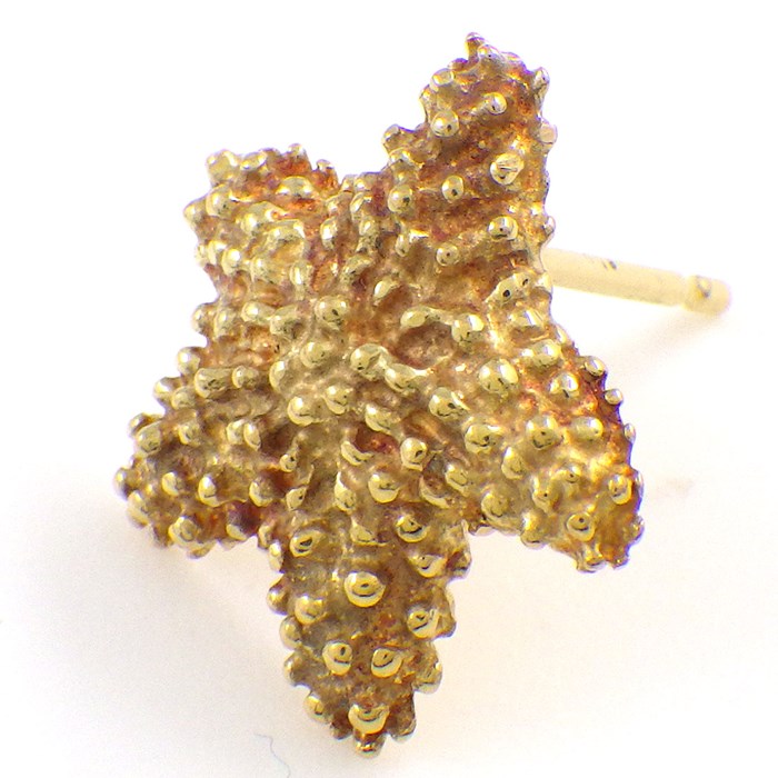 楽天市場】ティファニー Tiffany & Co. ピアス スターフィッシュ