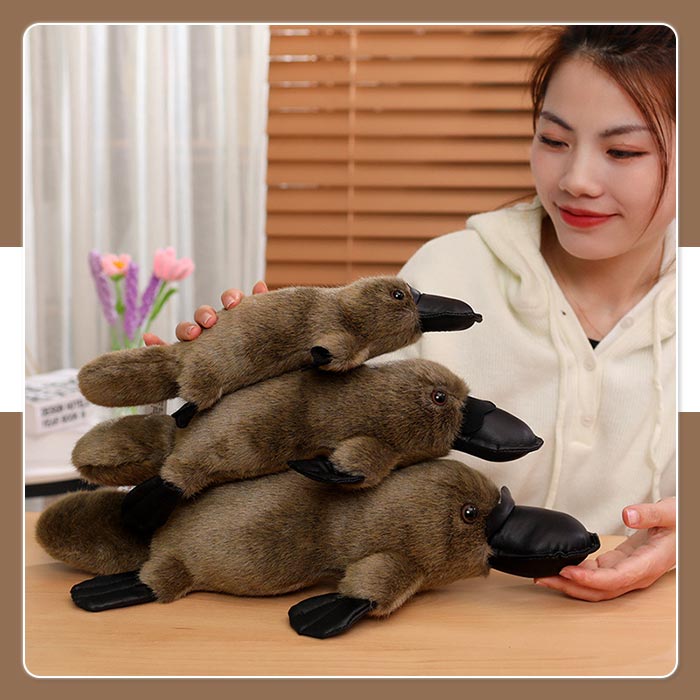 楽天市場】カモノハシ ぬいぐるみ かものはし リアル 動物 アニマル