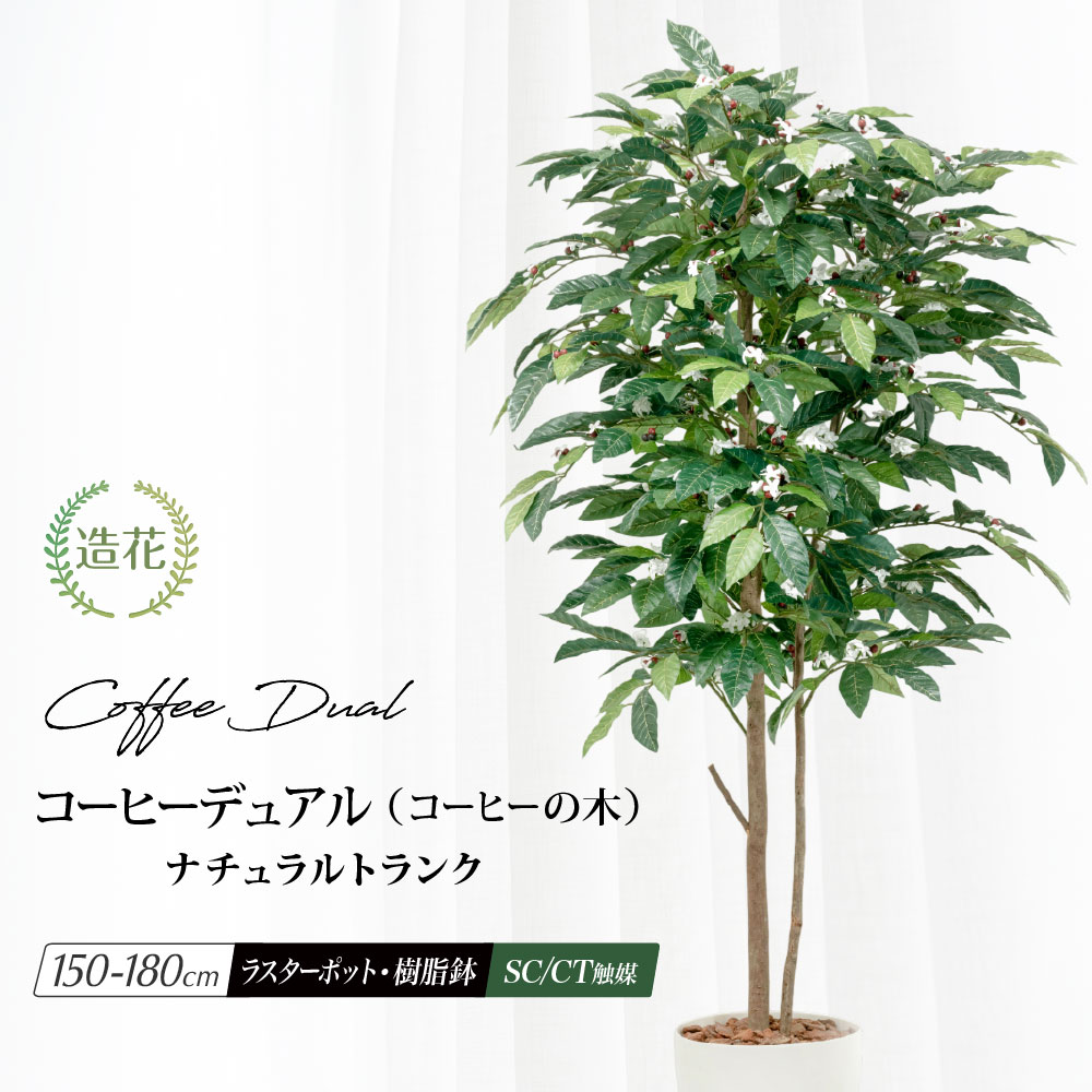 観葉植物 人工観葉植物 コーヒーの木」の人気商品一覧 | 安い商品を
