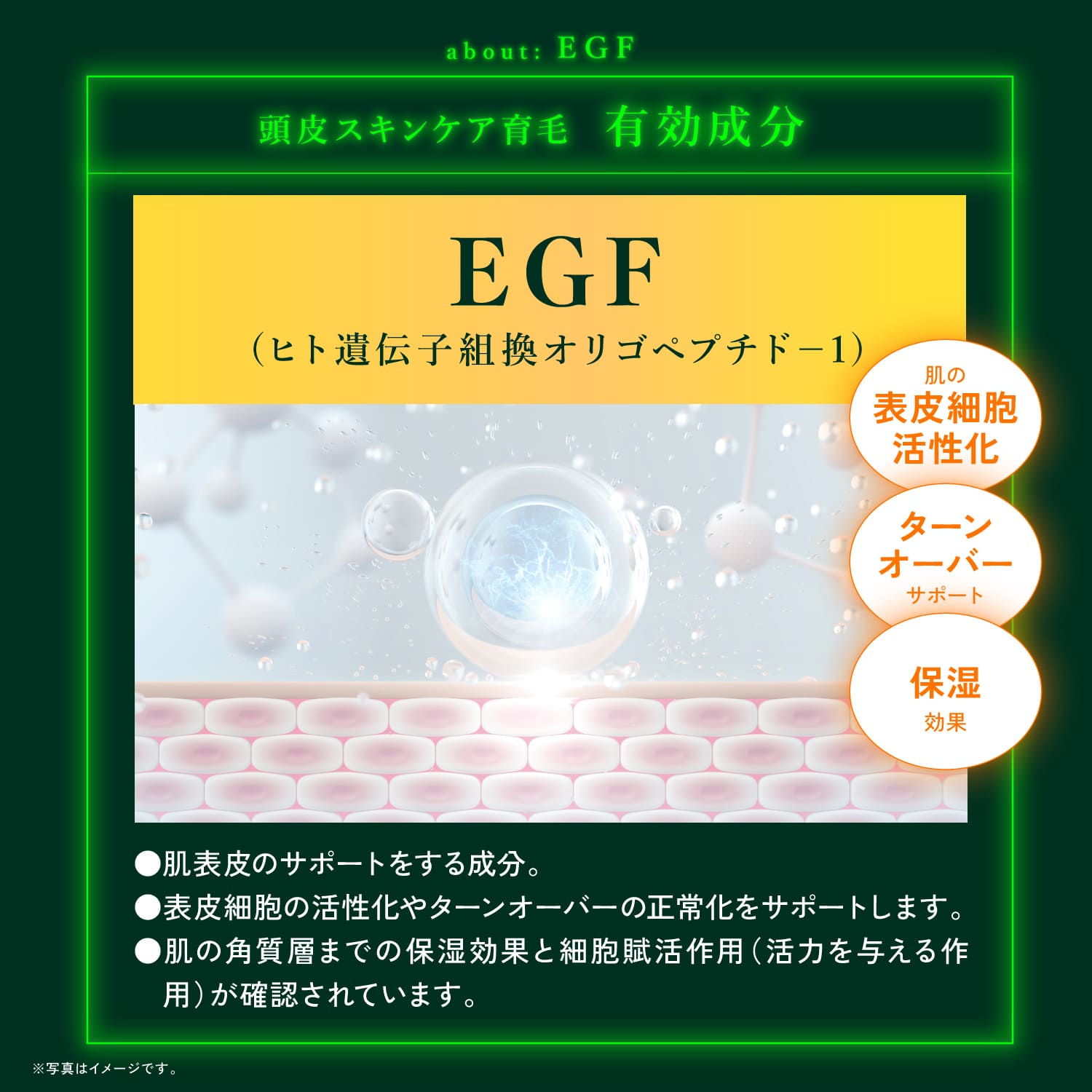 楽天市場】公式 【 KYOGOKU ネイチャーブースター＋シャンプー