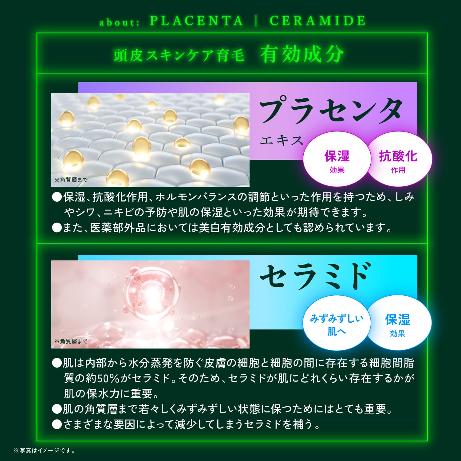 楽天市場】公式 【 KYOGOKU ネイチャーブースター＋シャンプー