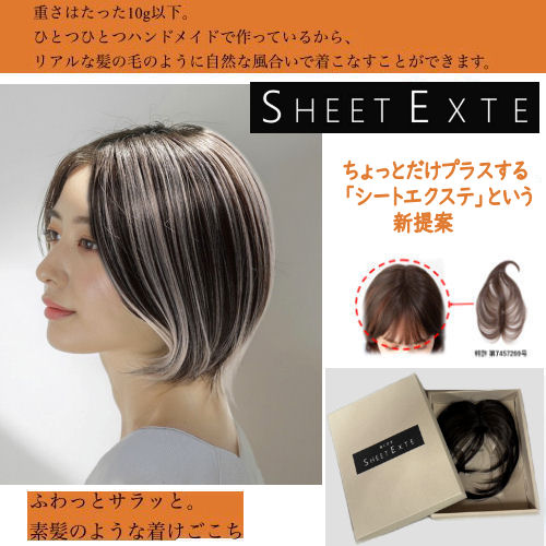 楽天市場】シートエクステ トップエクステンション テープ式