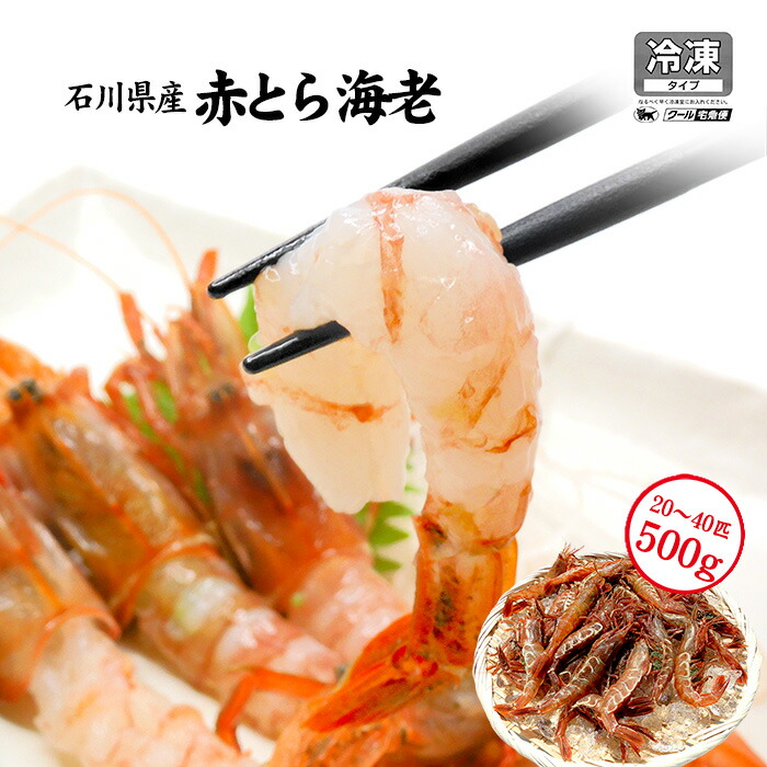 楽天市場】赤がすえび 赤とらえび 250g〜1kg お刺身用 石川県産 えび