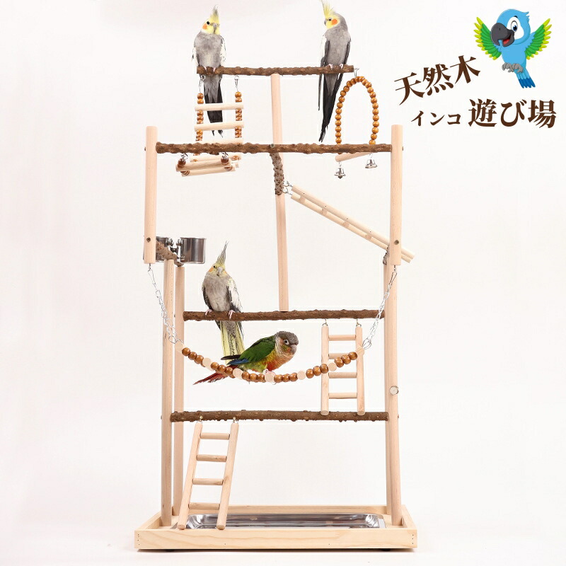 楽天市場】【お得なクーポン有り】インコ 遊び場 インコ おもちゃ