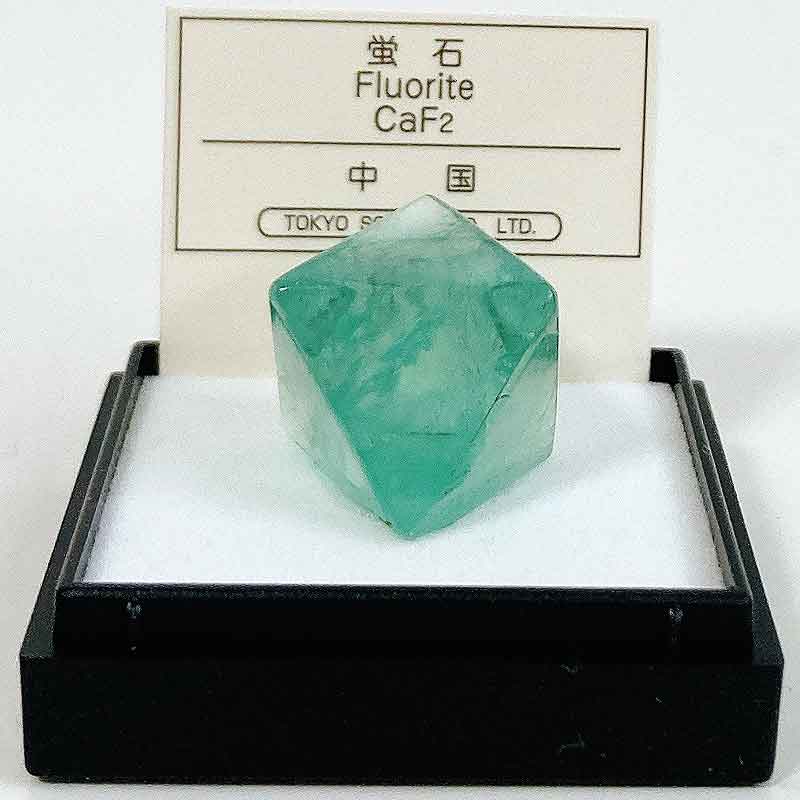 楽天市場】蛍石 （中国） フローライト 鉱物 標本 東京サイエンス ミニ