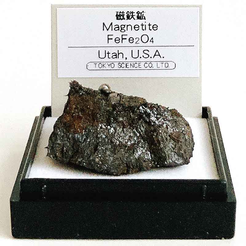 楽天市場】磁鉄鉱 （アメリカ、ユタ州） 鉱物 標本 東京サイエンス