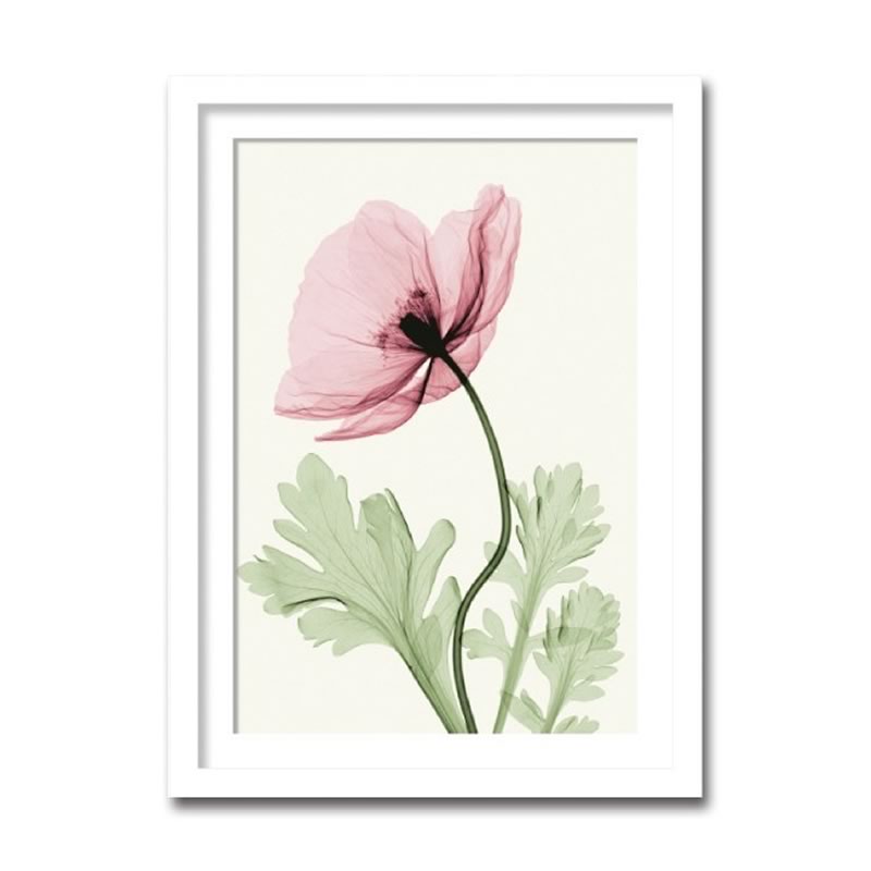 楽天市場】【スーパーセール価格】 アートパネル X-rey 写真 Poppy II