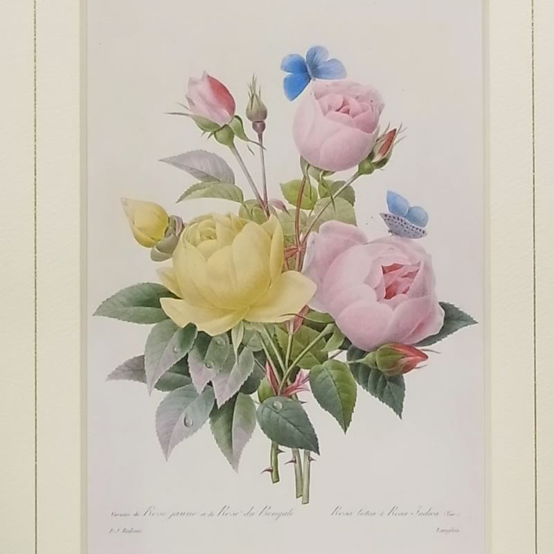 楽天市場】【スーパーセール価格】 絵画 インテリア ルドゥーテ ローズ