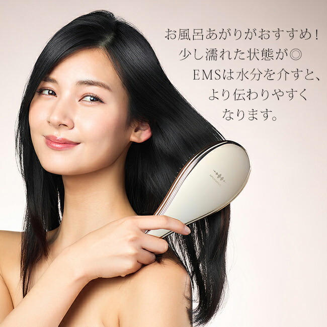 楽天市場】【特典あり】WAVEWAVE EMS Brush Air ブラッシュエアー
