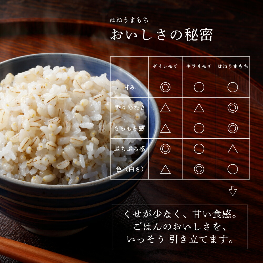 楽天市場】もち麦 国産 900g つがるもち麦美仁 青森産 農薬不使用 はね