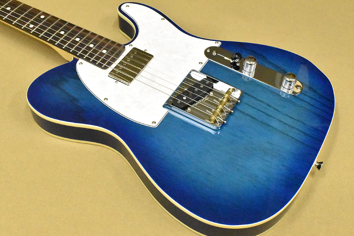 楽天市場】FUJIGEN/FgN Neo Classic NTE210RAH SBB(Fine Tuned by