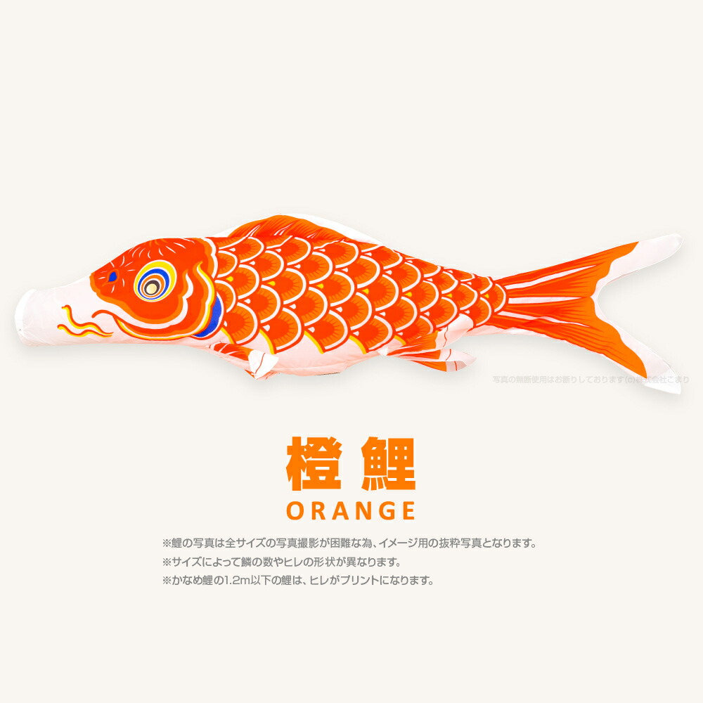 楽天市場】こいのぼり 単品 鯉のぼり かなめ鯉 1.5m 単品鯉 : 節句