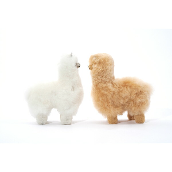 楽天市場】エルヴァン ELVANG アルパカ テディ ぬいぐるみ / 20cm