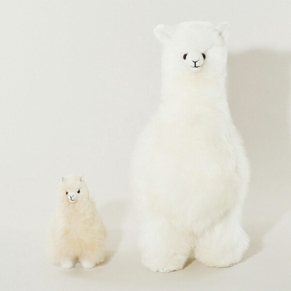 楽天市場】エルヴァン ELVANG アルパカ テディ ぬいぐるみ / 20cm