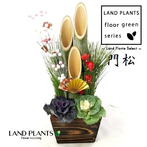 楽天市場】門松（かどまつ：3本仕立て）45cm 5号 木箱 1鉢 KADOMATSU