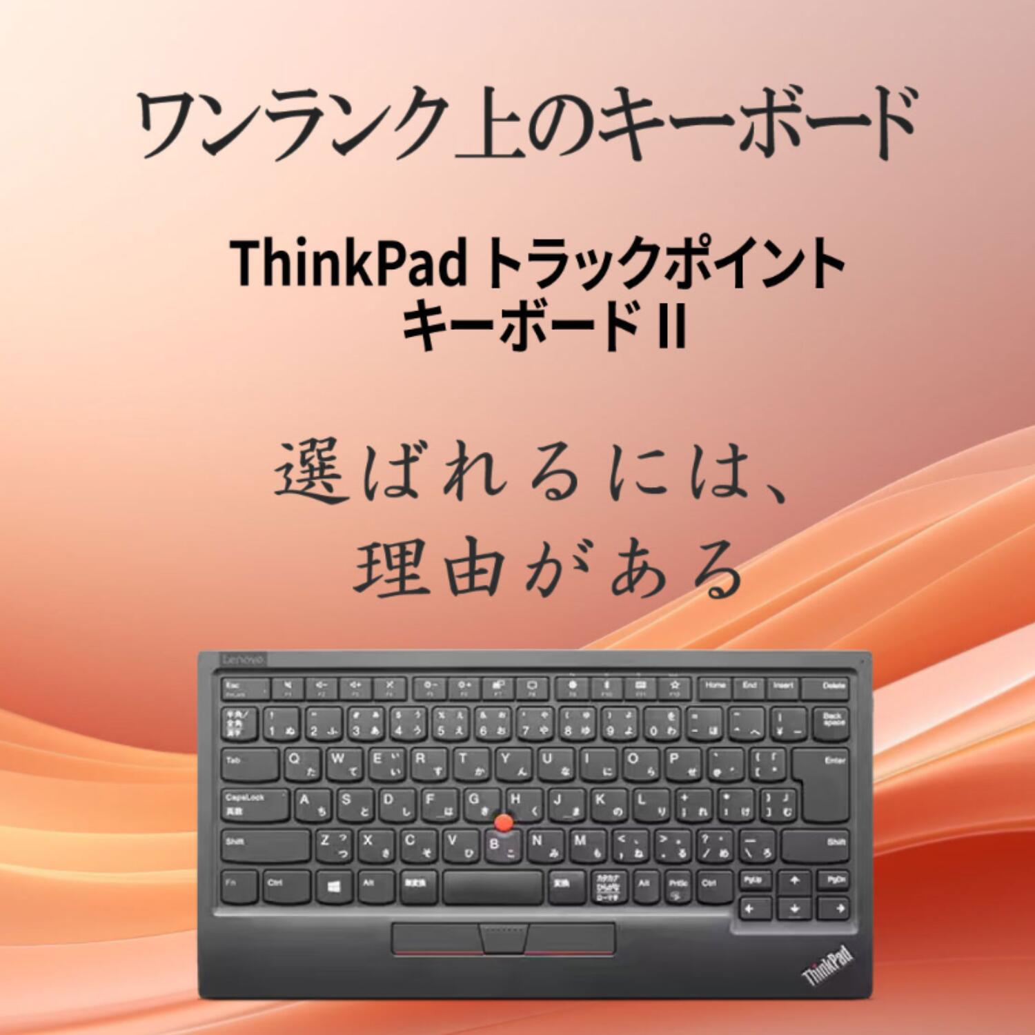 Lenovo ThinkPad 日本語キーボード ノートPC(ジャンク扱い