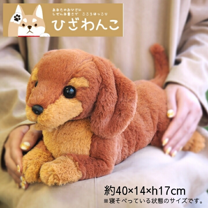 楽天市場】【ひざシリーズ】【ギフトラッピング承り中！】 こころ