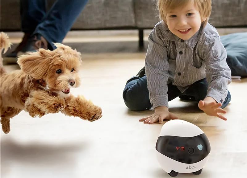 楽天市場】Enabot EBO SE ペットカメラ お友達ロボット スマートペット