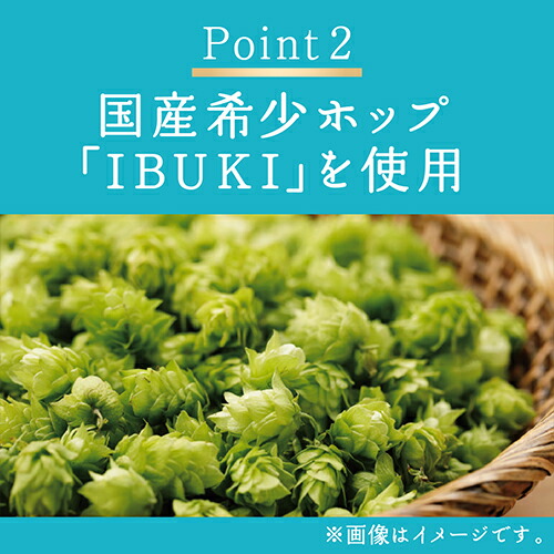 楽天市場】キリン 晴れ風 350ml缶×48本(24本×2ケース) 送料無料 ビール
