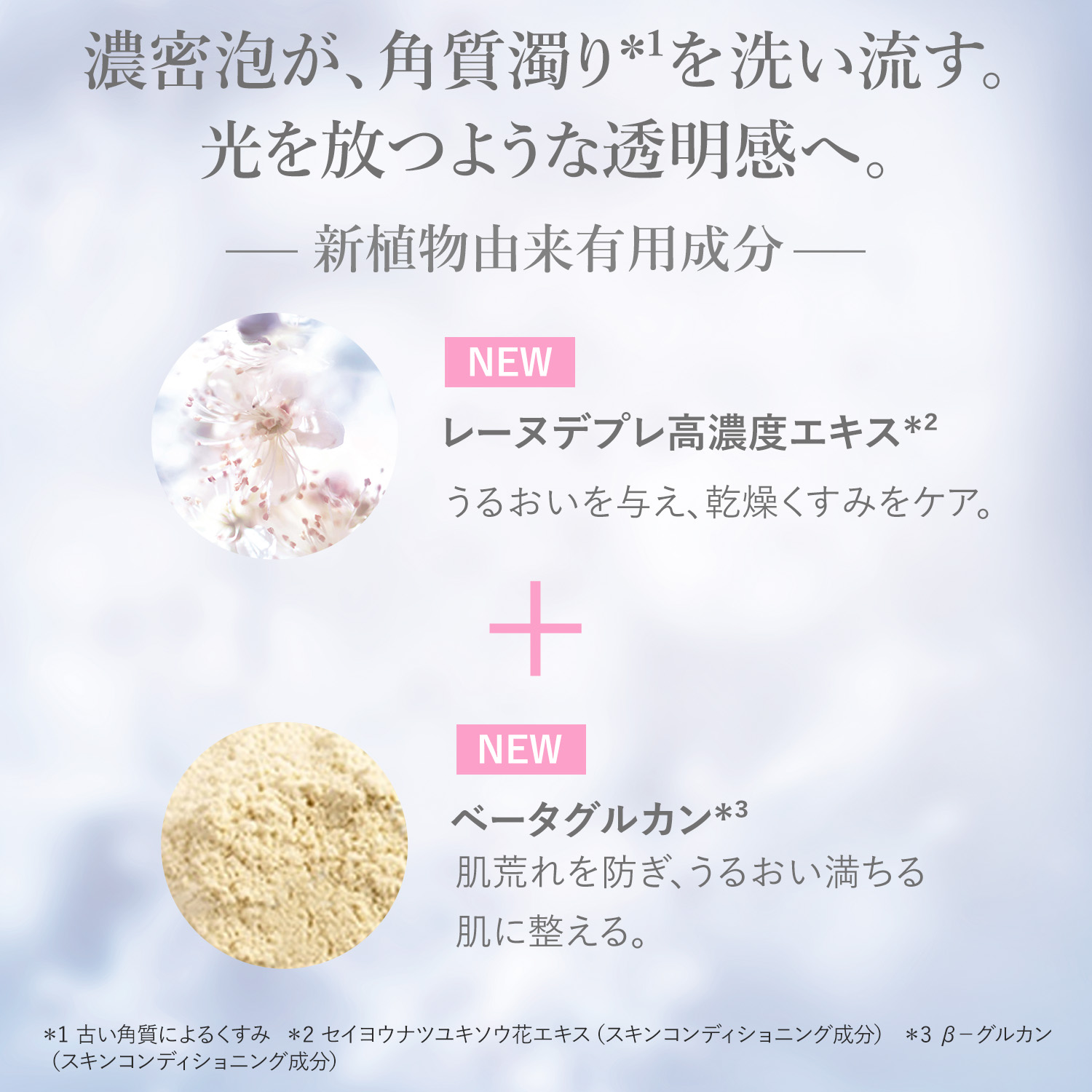 楽天市場】【公式】ロクシタン L'OCCITANE 〈レーヌデプレ〉イルミネ