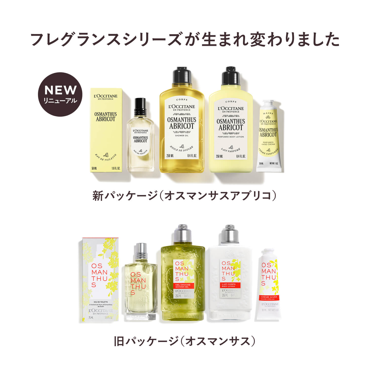 楽天市場】【3月4日 20:00-3月11日 1:59限定◇P10倍】【公式