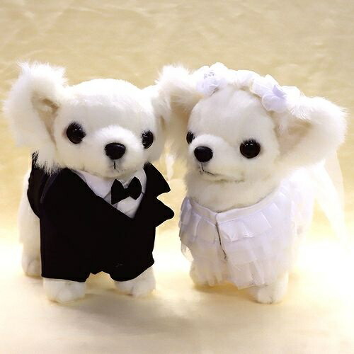 楽天市場】ウェルカムドール チワワ WHITE 新郎＆新婦セット サイズ