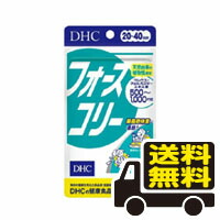 楽天市場】dhc フォースコリー 20日分 80粒の通販