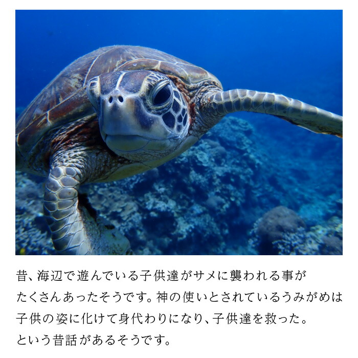楽天市場】ウミガメ キーホルダー 【海のレジンアート】｜ 宮古島 海
