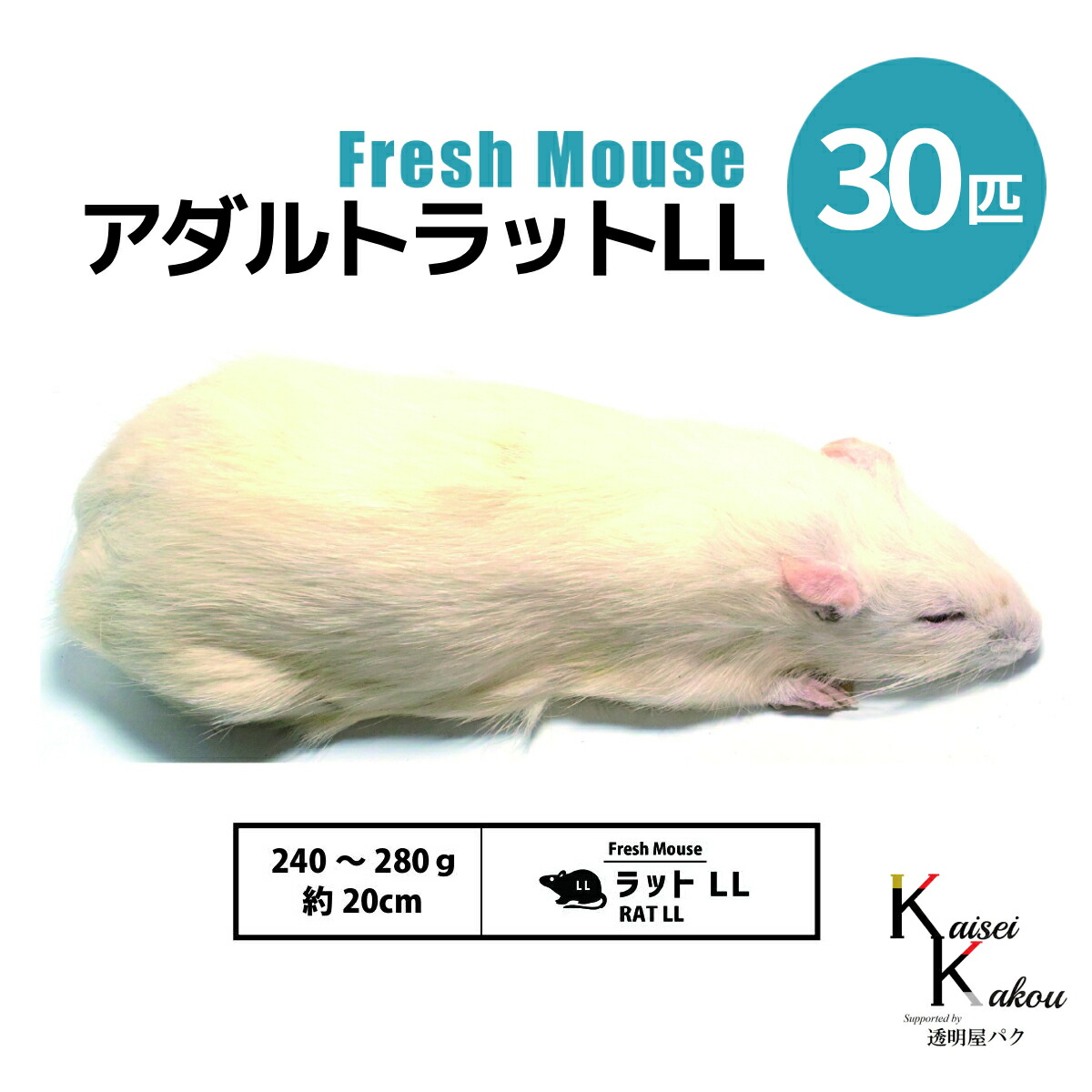 冷凍ラット 240~300g 30匹 冷凍ラット 240~300g 30匹セット 冷凍ラット