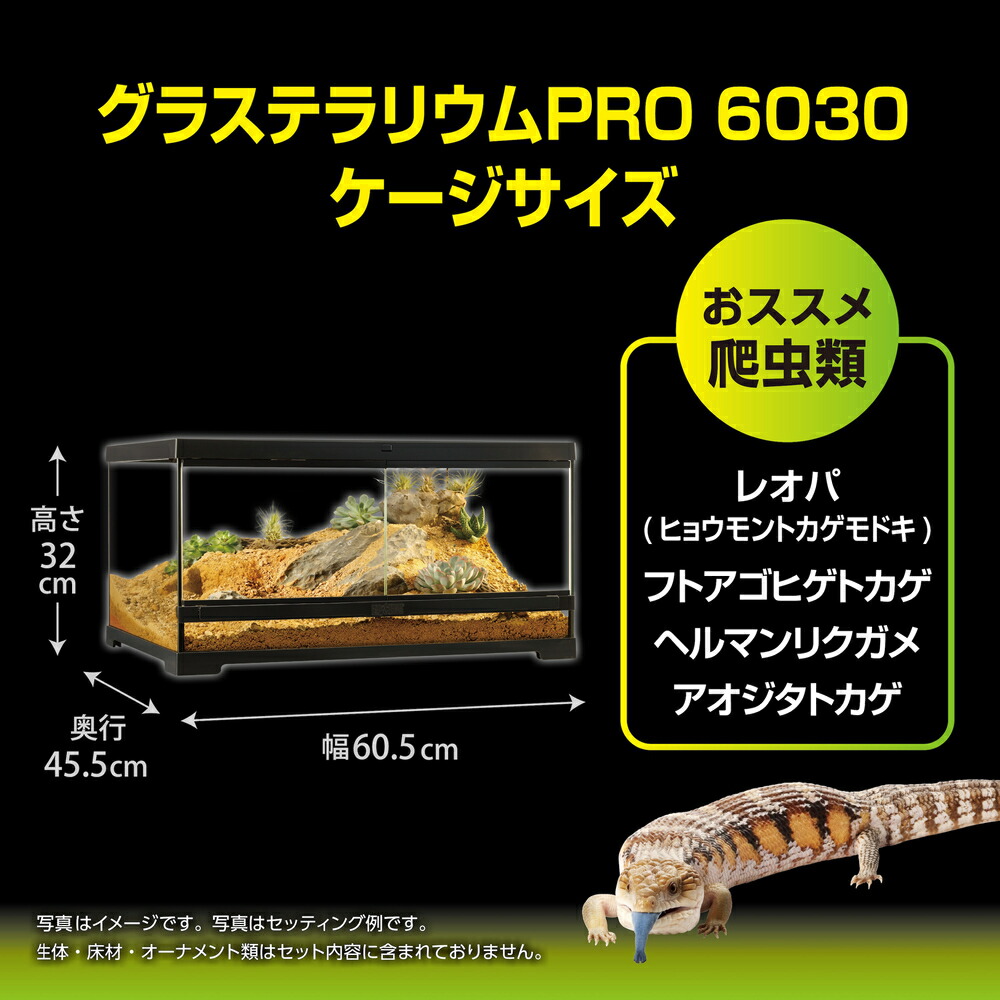 楽天市場】○【エキゾテラ】グラステラリウムPRO 6030 PT4407 EXOTERRA